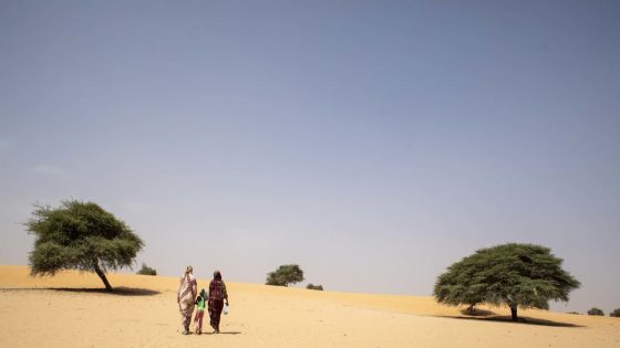 منظمة الفاو: تدهور مقلق للأراضي الزراعية في المنطقة العربية