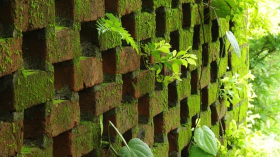 فن العمارة.. الطحالب عوض المرايا في واجهات المدن