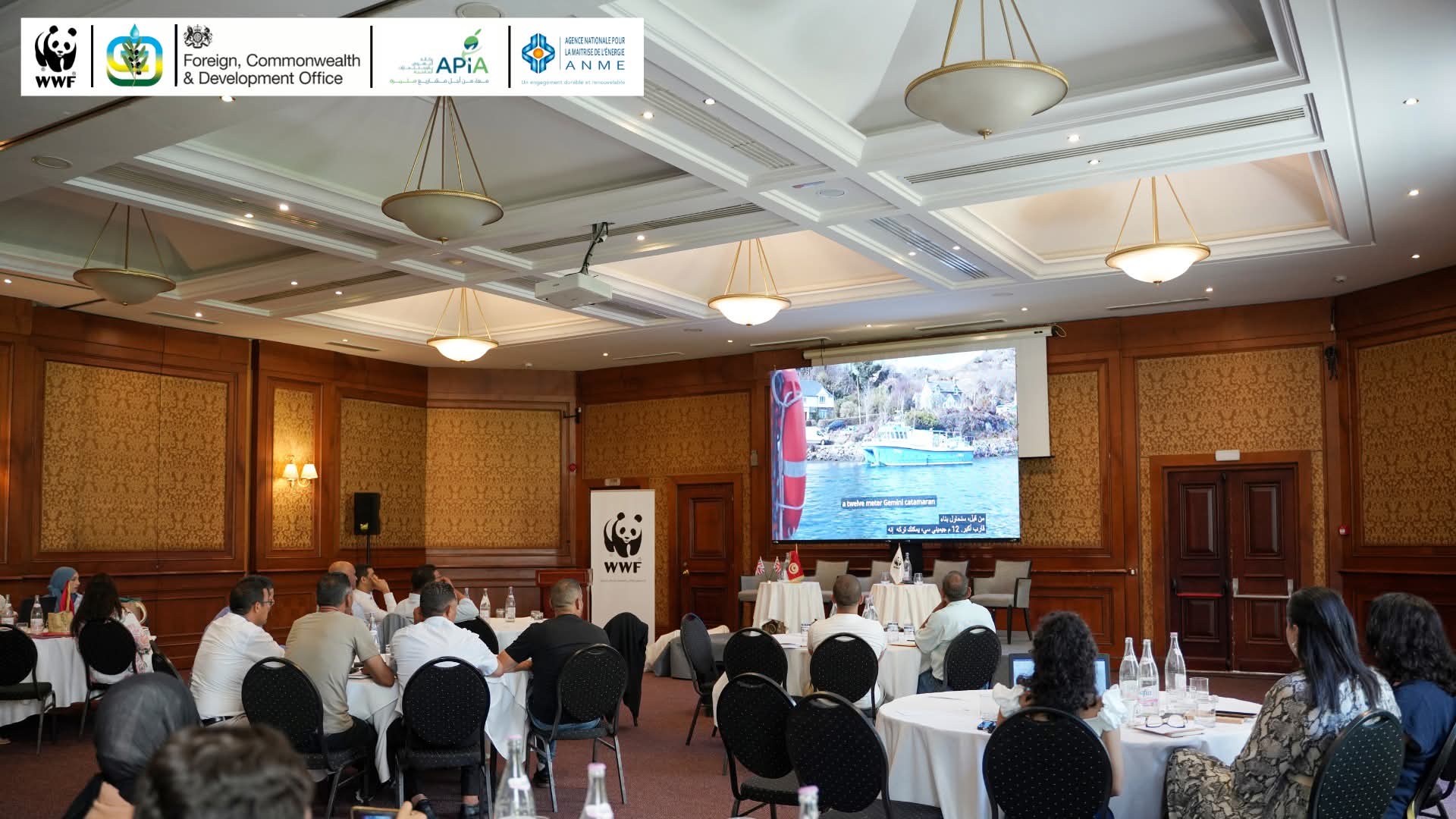 الصندوق العالمي للطبيعة.. المحركات الكهربائية من أجل صيد بحري نظيف وأكثر استدامة