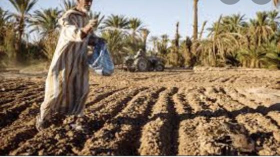 48 ألف فلاح مستفيد من التغطية الاجتماعية بالحوز ومشاريع مهيكلة تعزز دينامية الاستثمار