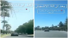 “مغرب البيئة 2050” تنتقد تهيئة الشوارع على حساب الأشجار والمساحات المشتركة