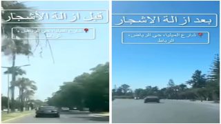 “مغرب البيئة 2050” تنتقد تهيئة الشوارع على حساب الأشجار والمساحات المشتركة