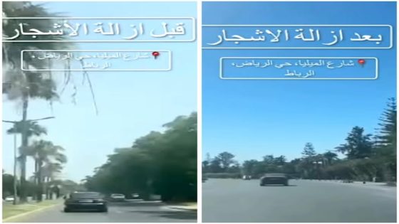 “مغرب البيئة 2050” تنتقد تهيئة الشوارع على حساب الأشجار والمساحات المشتركة