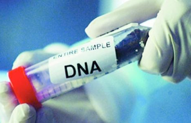 وهبي: بنك البصمات الجينية ضروري للعدالة وليس على حساب الحياة الخاصة