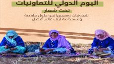 اليوم الدولي للتعاونيات في 2025.. إعلان أممي بجعلها سنة دولية للتعاونيات