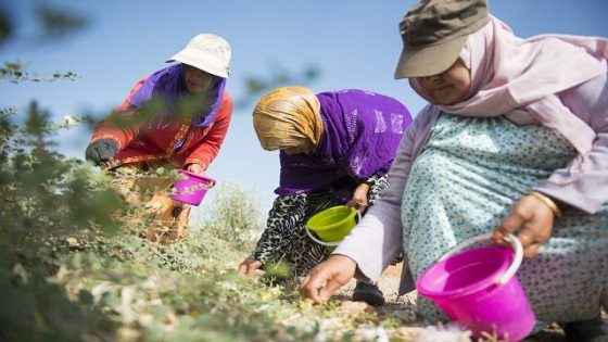 البنك الإفريقي يمنح المغرب 100 مليون أورو لدعم الفلاحة التضامنية