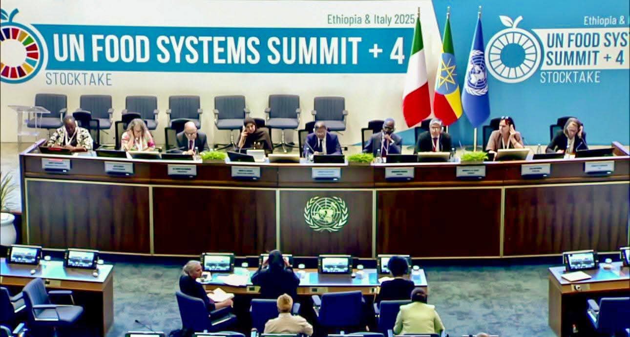 قمة الأمم المتحدة حول النظم الغذائية.. دعوة مغربية لإحداث صندوق دولي للأمن الغذائي بإفريقيا