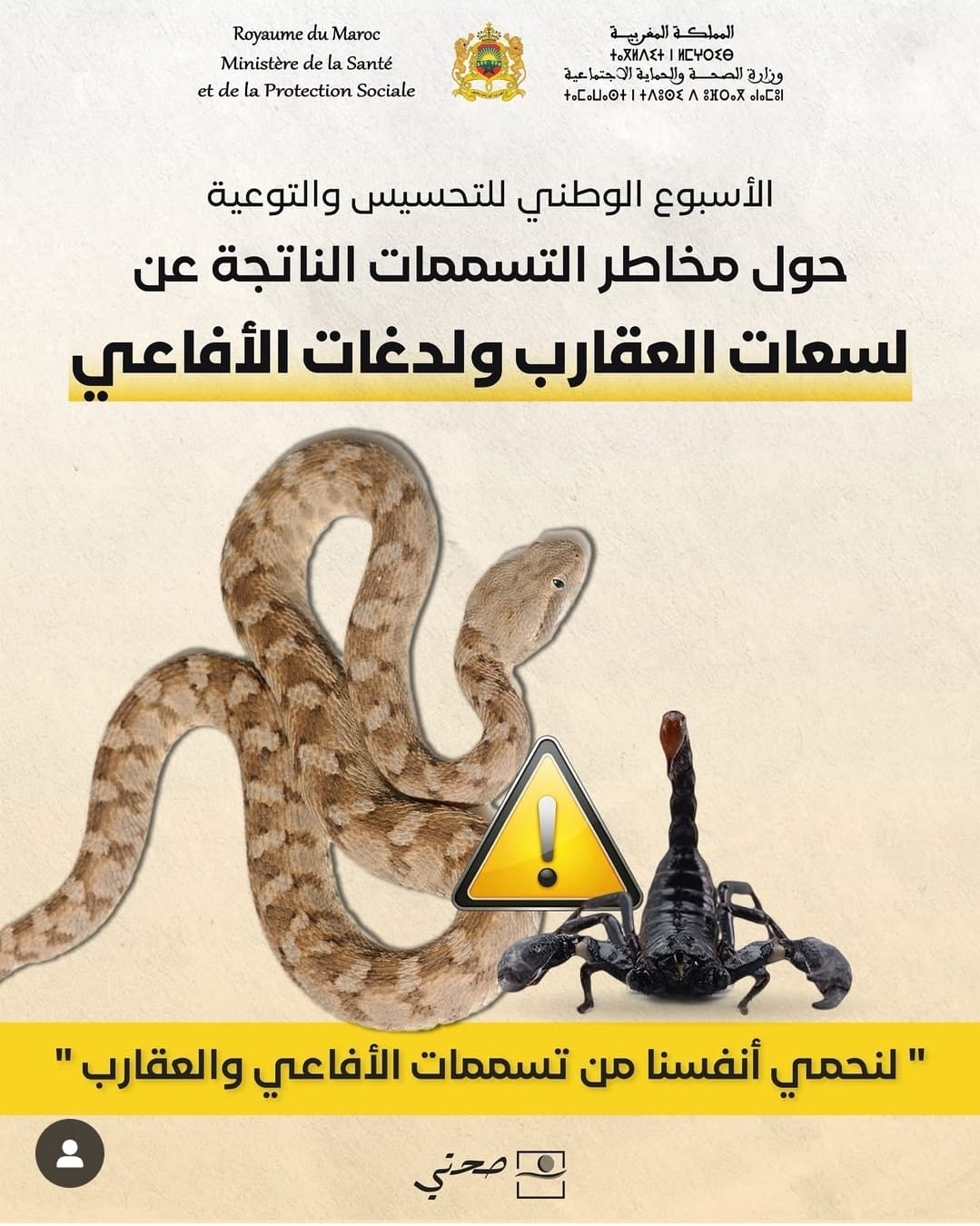 استراتيجية المغرب لمحاربة لسعات العقارب ولدغات الأفاعي: نحو “صفر وفاة” رغم التحديات