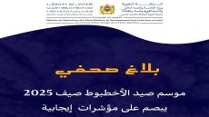 الصيد البحري.. انطلاق موسم صيد الأخطبوط