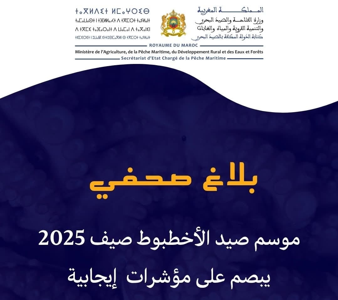 الصيد البحري.. انطلاق موسم صيد الأخطبوط