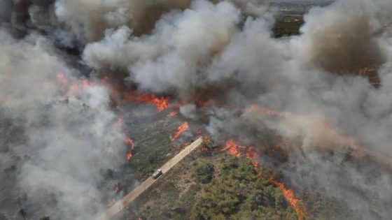 اتساع رقعة حرائق الغابات في سوريا ينذر بكارثة بيئية