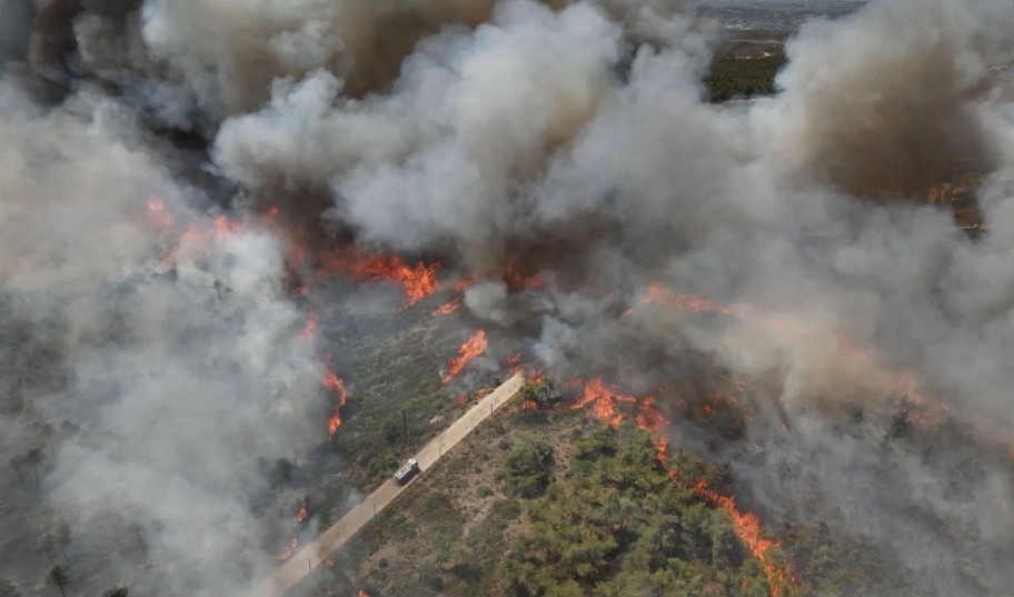 اتساع رقعة حرائق الغابات في سوريا ينذر بكارثة بيئية