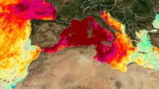 موجة حر تاريخية بالبحر الأبيض المتوسط