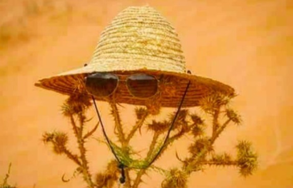 "الصمايم" في المغرب: بين شدة المناخ وحكمة الذاكرة الشعبية