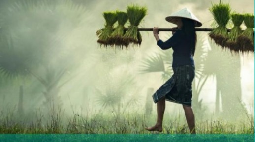 الأراضي الرطبة: إفريقيا تسجل واحدا من أعلى معدلات التدهور في العالم