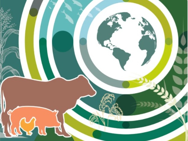 المغرب، مصر وتركيا في التوقعات الزراعية 2025-2034.. ثلاثي صاعد في خريطة الأمن الغذائي العالمي