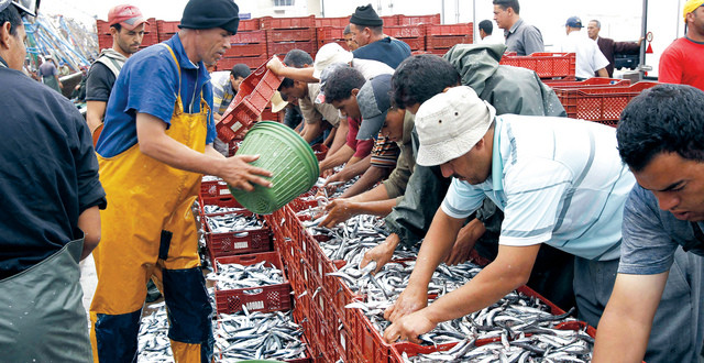 Fishermen work at a fishing port in Agadir, southern Morocco July 22, 2011. Morocco's economy has so far performed well during Europe's sovereign debt crisis, partly because of a surge in the government's social spending to maintain political stability during last year's unrest in the Arab world. Finance Minister Nizar Baraka estimated this week that the economy grew 5 percent last year, up from 4 percent in 2010. But increases in government spending cannot be sustained indefinitely, so remittances by migrant workers will remain vital to the economy. Picture taken July 22, 2011. To match Feature MOROCCO-EUROPE/ REUTERS/Youssef Boudlal (MOROCCO - Tags: SOCIETY POLITICS BUSINESS)