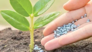 OCP Nutricrops... إنجاز مغربي يتجاوز 5 ملايين طن من سماد الفوسفاط الذكي
