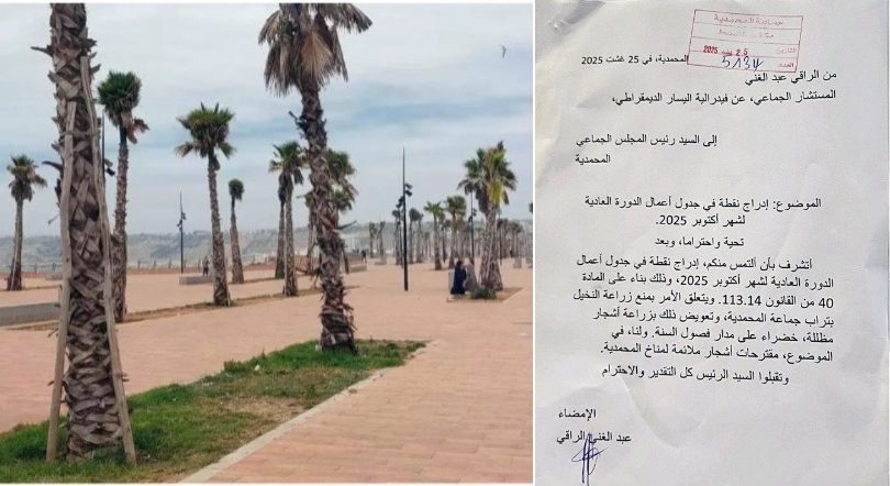 المحمدية.. مستشار جماعي يطالب بغرس الأشجار بدل النخيل