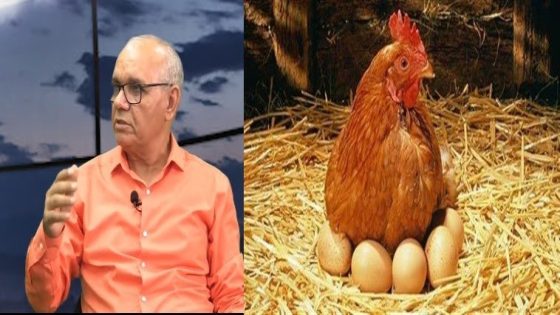 موجة غلاء البيض والدجاج بالمغرب أمام حماية القدرة الشرائية