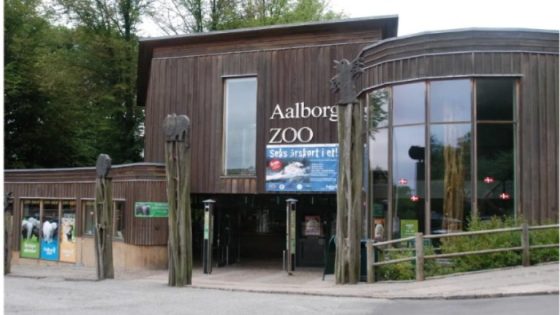 حديقة دنماركية: "تبَرع بحيواناتك الأليفة… لإطعام المفترسات!