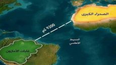 كيف تغذي الصحراء الكبرى الأمازون ؟