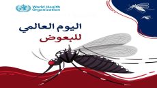 اليوم العالمي للبعوض.. فرصة لمكافحة الأمراض المنقولة 