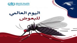 اليوم العالمي للبعوض.. فرصة لمكافحة الأمراض المنقولة