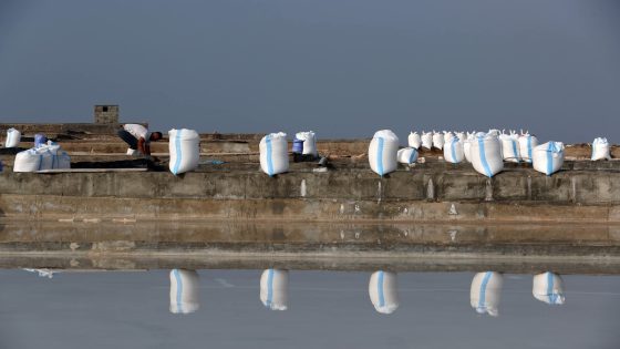epa12316292 Lebanese George Sulaiman works at salt evaporation ponds in the coastal town of Anfeh, Lebanon, 22 August 2025. George Sulaiman inherited the family sea salt business in 2013 and modernized it to produce a wider range of products, including coarse salt, magnesium salt, magnesium oil, Japanese nigari salt, and fleur de sel, in an operation running over 4,000 square meters and has an annual production of 60 tons of salt. The production of sea salt is a long-standing artisanal tradition in Anfeh, w