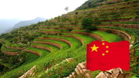 الصين تدشن عصرا جديدا من التحديث الزراعي لتحقيق أمن غذائي عالمي