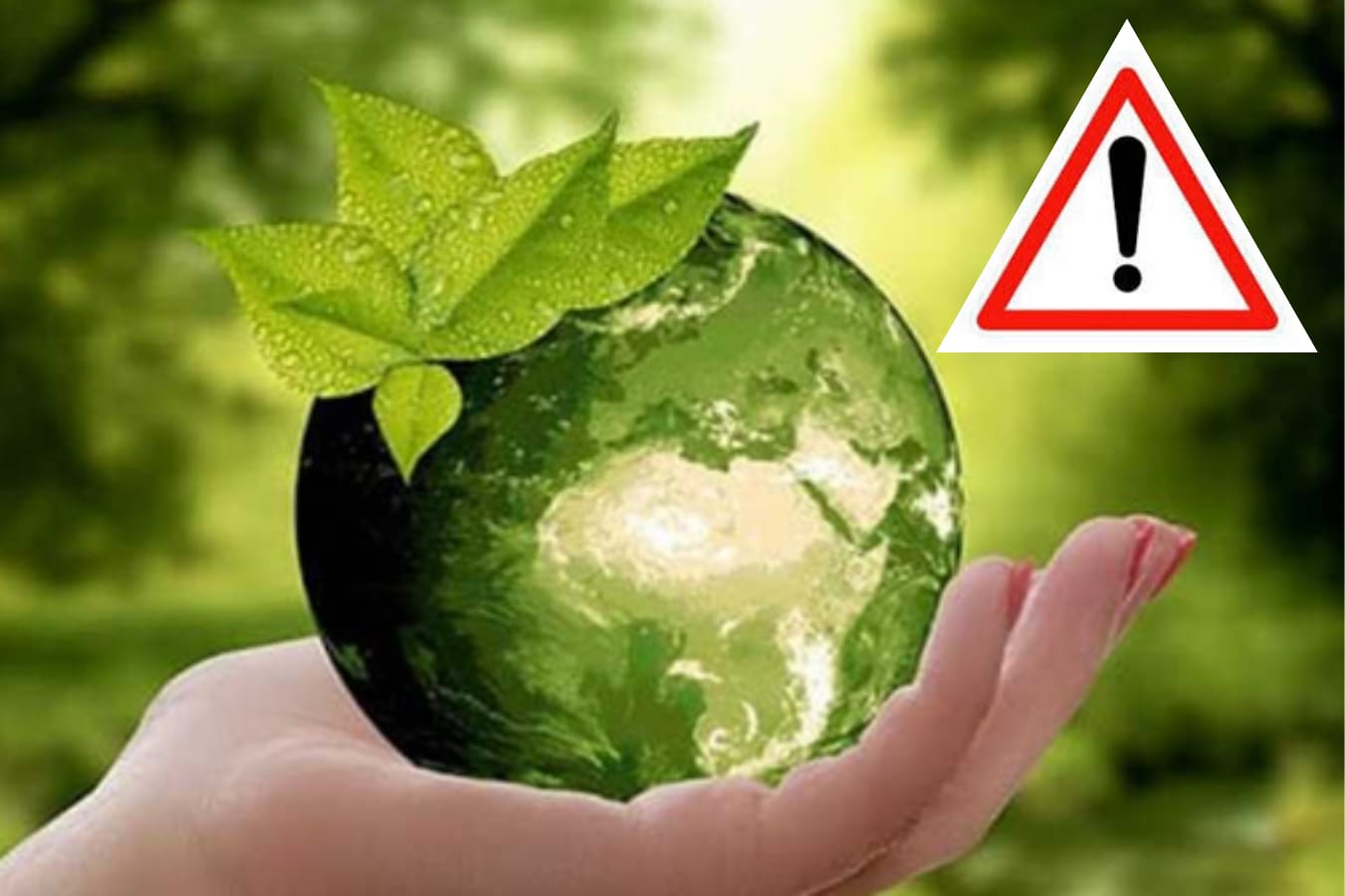 التنوع البيولوجي العالمي.. أرقام مخيفة وتراجع مستمر