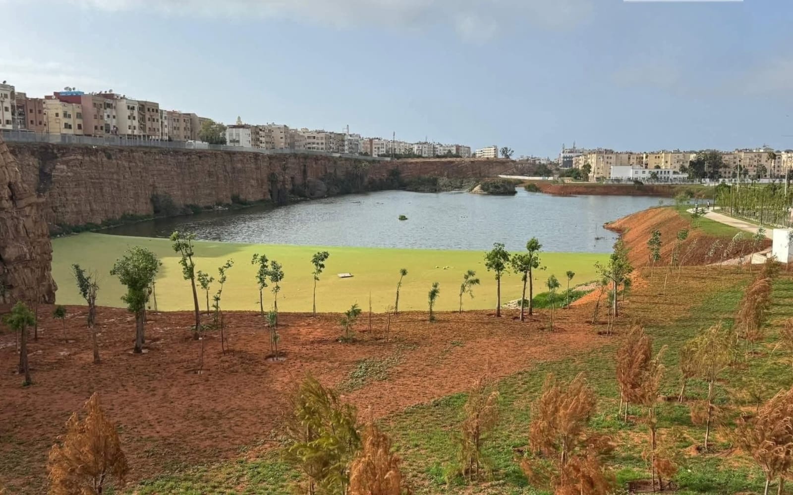افتتاح منتزه بحيرة الألفة: أول منطقة رطبة حضرية بالمغرب