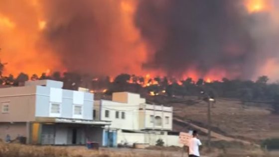 شفشاون: حريق مهول يلتهم مساحات واسعة من غابة كرانخا