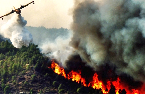 شفشاون: السيطرة على ثلاث بؤر من حريق دردارة وعمليات الإخماد متواصلة