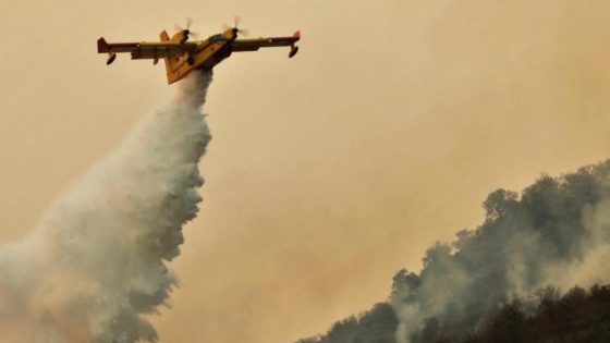 شفشاون.. السيطرة على حريق غابة دردارة