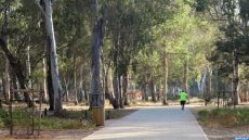 ANEF توضح: غابة المعمورة بسلا الجديدة جزء من دينامية وطنية للاستدامة