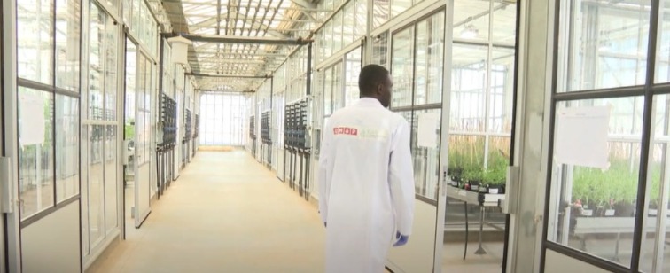 بيوت زجاجية