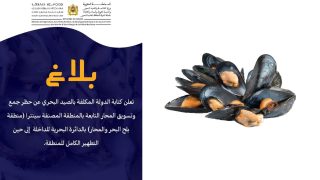 الصيد البحري يحظر جمع وتسويق المحار بمنطقة “سينترا” بالداخلة