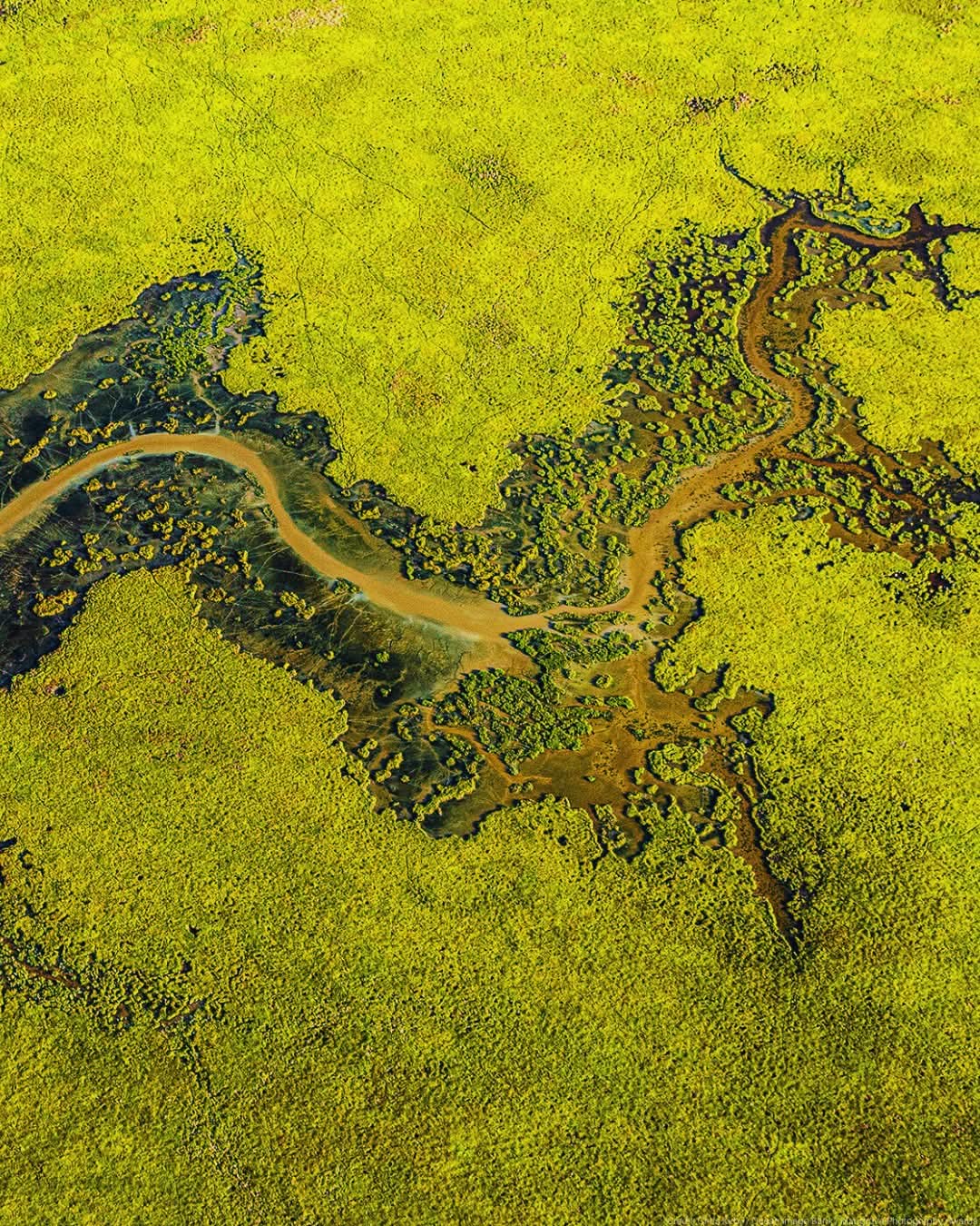 برنامج الأمم المتحدة للبيئة.. من أجل عالم آمن ومستدام