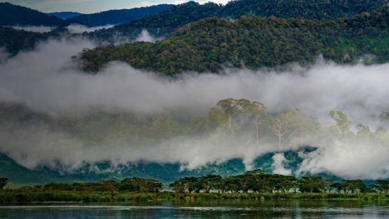 الأنهار الطائرة.. شرايين السماء التي تحمل المطر وتخفي التهديد