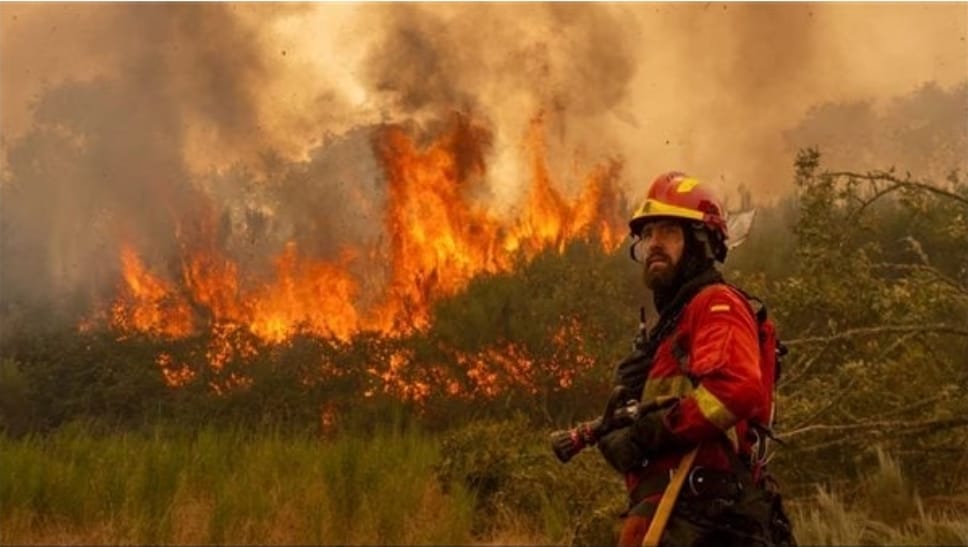 حريق يلتهم مئات أشجار النخيل بإقليم زاكورة والسلطات تباشر تعزيز الإجراءات الوقائية
