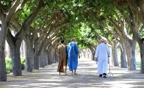 المعهد الملكي للدراسات الاستراتيجية: شيخوخة السكان وهجرة الأدمغة تهددان مستقبل سوق الشغل