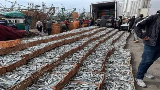 آسفي ترسم ملامح إقلاع اقتصادي جديد حول الاستثمار والتنمية