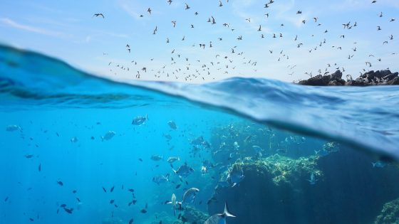 اليوم البحري العالمي 2025 تحت شعار “محيطنا، التزامنا، فرصتنا”