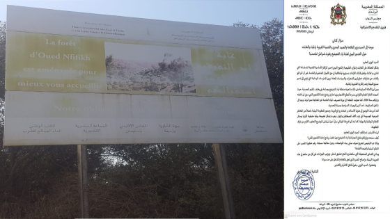 المحمدية: نواب يطالبون بالتحقيق في تدمير غابة واد النفيفيخ وتلوث الشواطئ