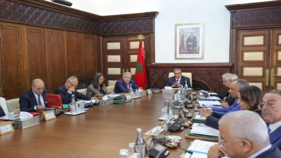 ورش الإعمار يتسارع: أخنوش يقف على تقدم برنامج إعادة بناء وتأهيل مناطق الحوز