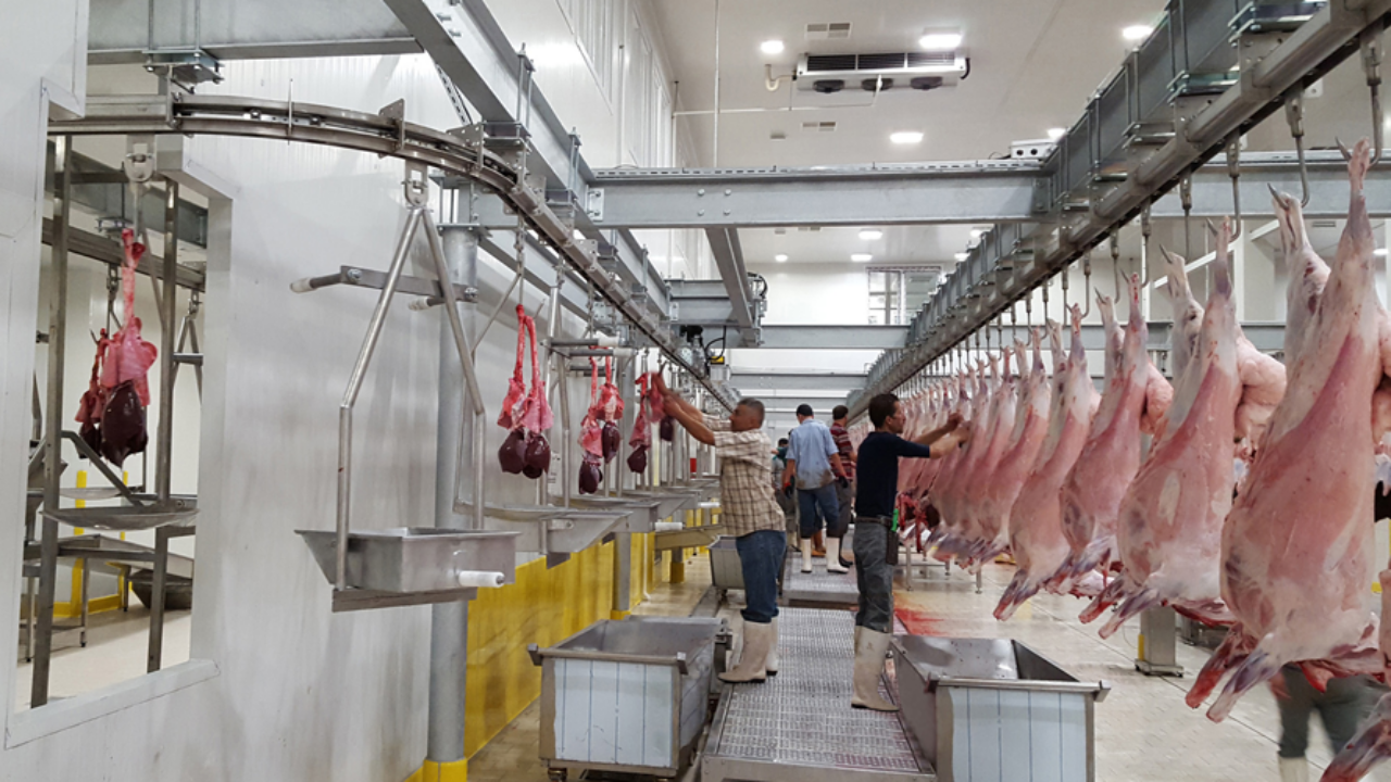 مجازر الدار البيضاء