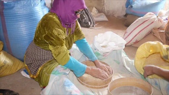 إطلاق برنامج “تحفيز-نسوة” بسلا لتعزيز ريادة الأعمال النسائية ودعم التعاونيات المستدامة