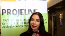 الابتكار الفلاحي كرافعة لتشغيل الشباب القروي محور ندوة وطنية بطنجة