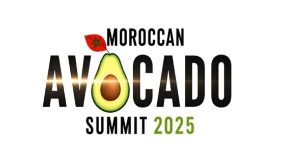 العرائش تجمع فاعلي القطاع في مؤتمر الأفوكادو 2025 لمناقشة تحديات الاستدامة والقدرة التنافسية